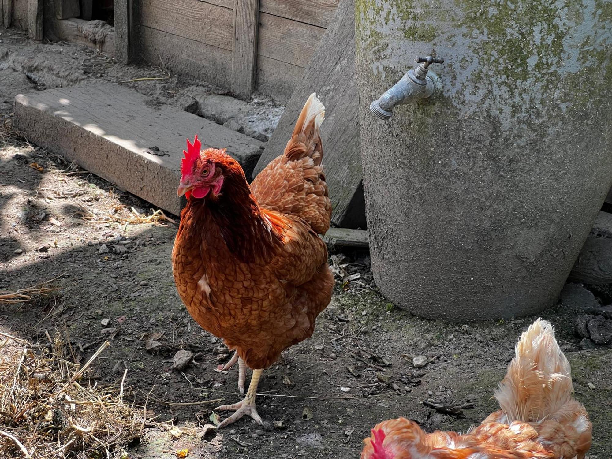 Bed and Breakfast A La Ferme De Thilloy Ligny-Thilloy Exteriér fotografie